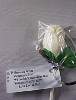 img1900.jpg
