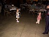 img1981.jpg