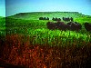 kearney032.jpg