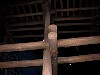 kearney044.jpg