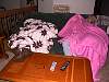 img2104.jpg