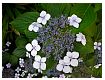 dscn0286.jpg