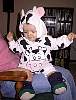 IMG1267.JPG
