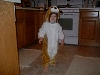 dscf0008.jpg