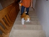 dscf0011.jpg