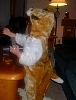 dscf0016.jpg