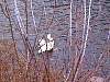 img1329.jpg