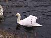 img1332.jpg