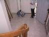 img1238.jpg