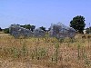 kearney060.jpg