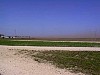 img1787.jpg