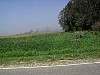 img1790.jpg
