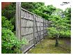dscn0113.jpg