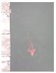 dscn0118.jpg