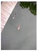 dscn0121.jpg