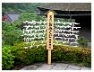 dscn0164.jpg