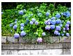 dscn0177.jpg