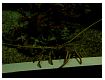 dscn0236.jpg