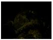 dscn0240.jpg