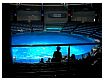 dscn0251.jpg