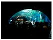 dscn0256.jpg