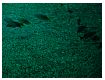 dscn0264.jpg