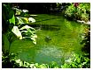 dscn0341.jpg