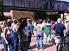 img0235.jpg
