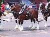 img0339.jpg