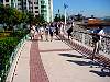 dsc00007.jpg