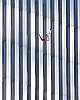 wtc56.jpg